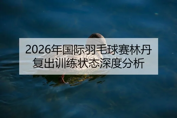 2026年国际羽毛球赛林丹复出训练状态深度分析
