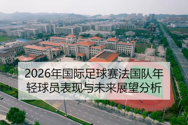 2026年国际足球赛法国队年轻球员表现与未来展望分析