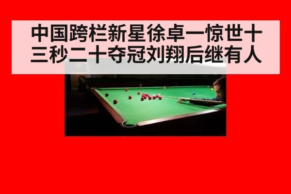 中国跨栏新星徐卓一惊世十三秒二十夺冠刘翔后继有人